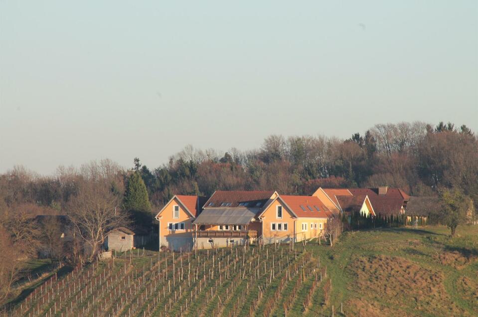 Weinbau Kahr - Impression #1 | © Martin Kahr