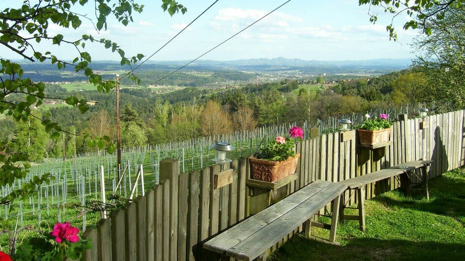 Blick ins Land | © Buschenschank Schober vlg. Weingartenschlögl