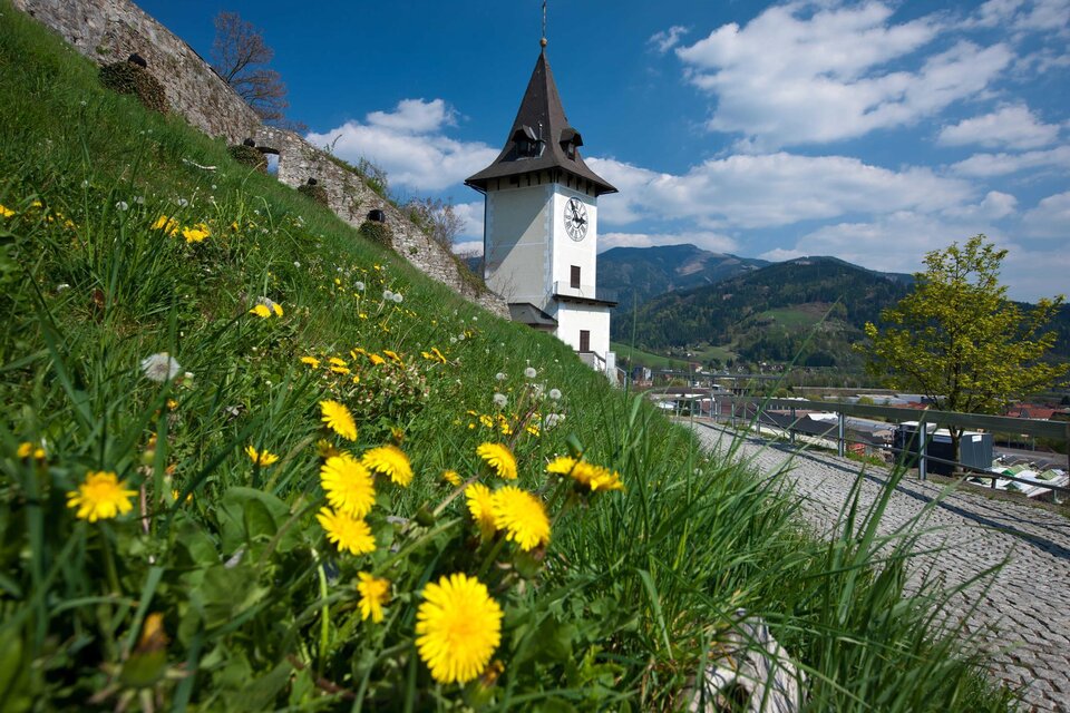 Der Brucker Schlossberg - Impression #1 | © H. Schiffer