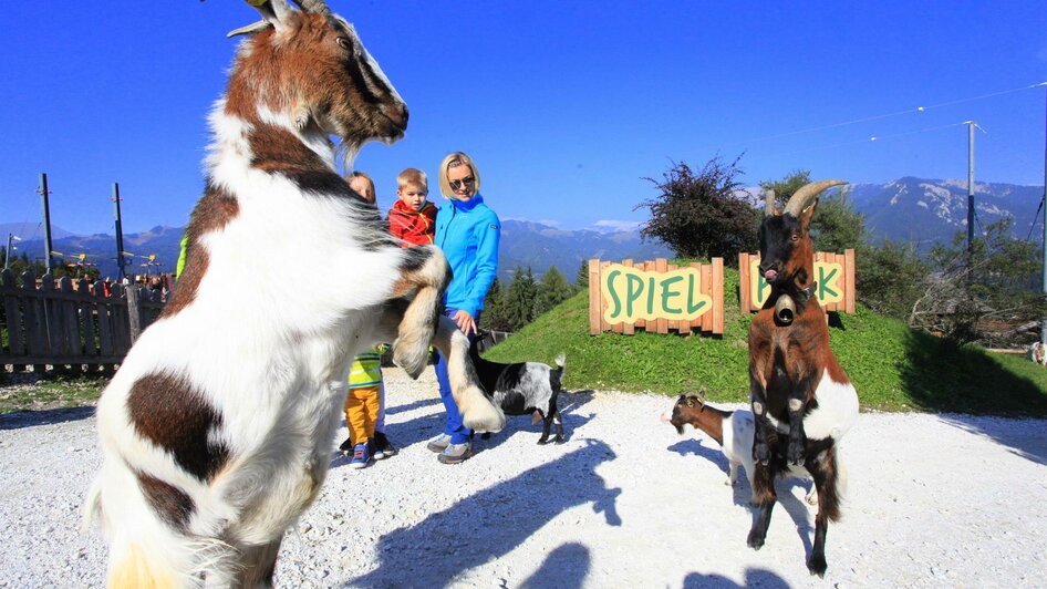 Der Wilde Berg Spielpark