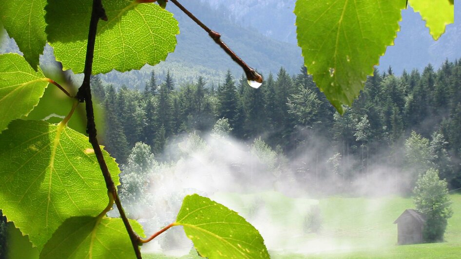 Dampfende Wiese | © TVB Ausseerland - Salzkammergut_Eva Griese