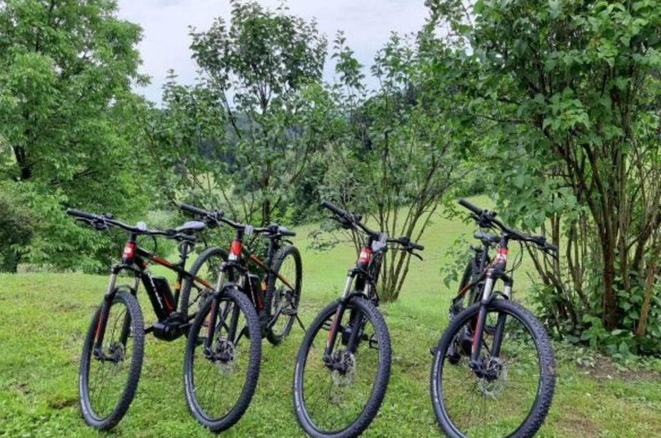 E-Bike Verleih beim Kollerwirt in Kapfenstein - Impression #1 | © Radverleih Kollerwirt