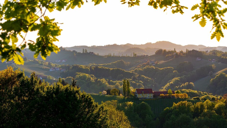 Landschaft Gamlitz | © TV Gamlitz / Harry Schiffer