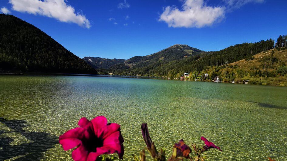 Erlaufsee im Sommer | © TV Hochsteiermark | Brigitte Digruber