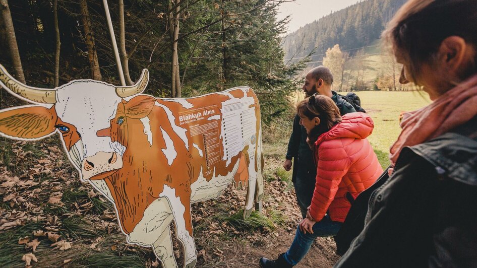 Erlebnisweg klimawandeln 7 | © Naturpark Mürzer Oberland