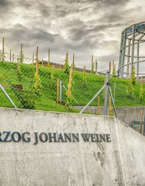 Erzherzog Johann Weine in Ehrenhausen | © Erzherzog Johann Weine | © Erzherzog Johann Weine