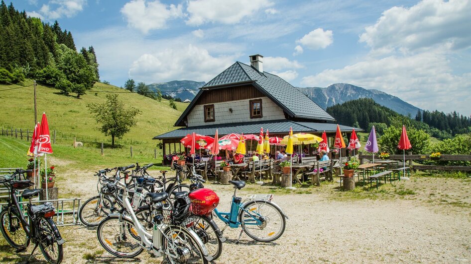 Falkensteinalm Schutzhütte | © Naturpark Mürzer Oberland