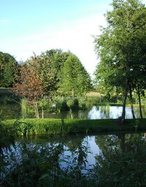 Fischteich