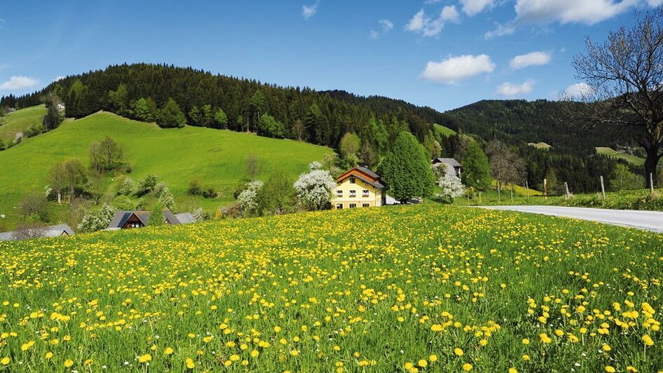 Gasthaus-Jägerwirt-Graden_Panorama | © Familie Wipfler