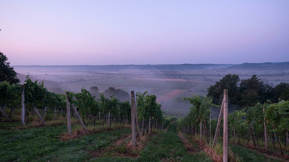 Ausblick vom Buschenschank Krenn ins Raabtal | © Krenn-Kniely