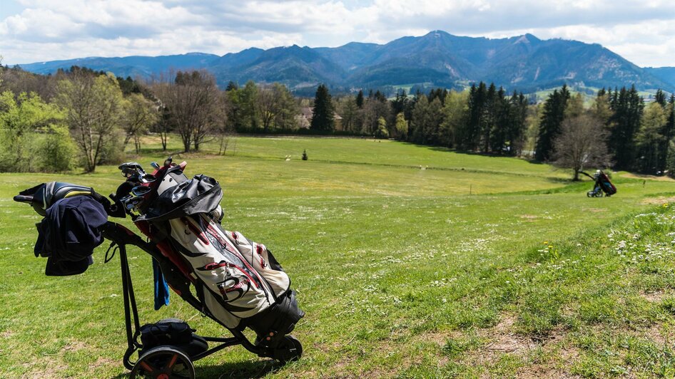 Golfclub Schloss Feistritz | © Golfclub Schloss Feistritz