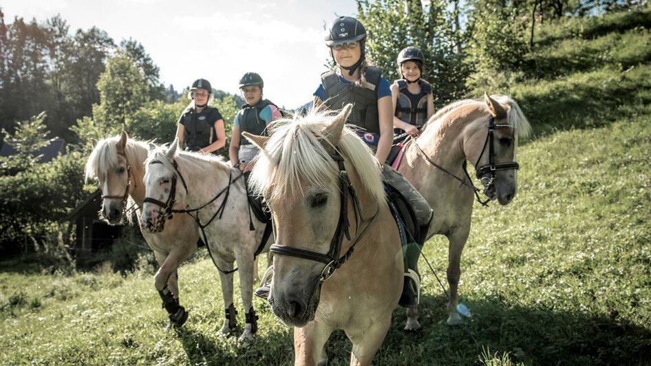 Reiten am Haflingerhof | © Stefan Leitner