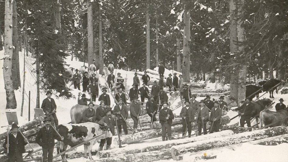 Fuhrleute und Holzknechte im Rassl 1914