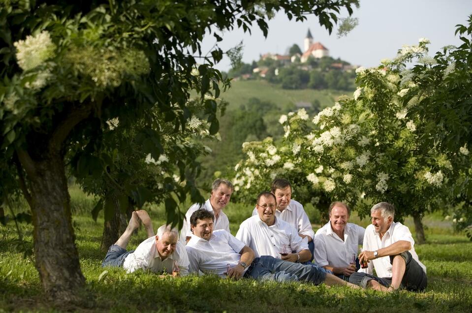 Holler Vulkan - Die Vitalkraft aus dem Vulkanland Steiermark in St. Anna/A. - Impression #1 | © August Wohlkinger