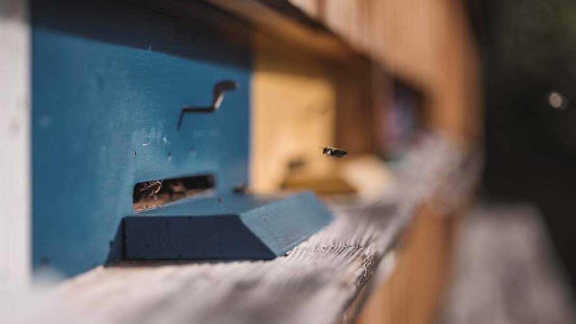 Bienenstock | © Stefan Leitner