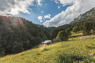 Die Kölblalm | © Thomas Sattler