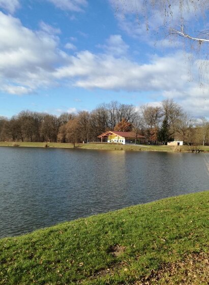 Fischteich