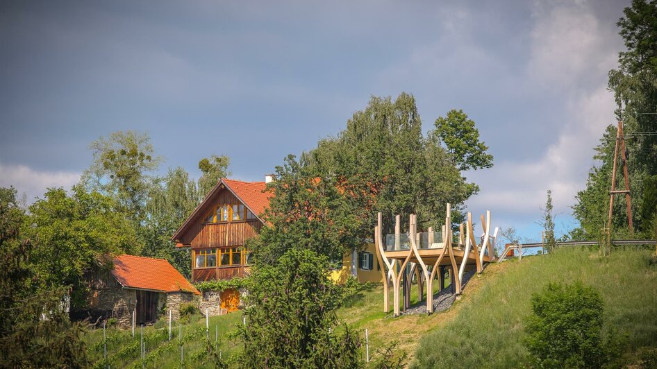 Blick auf den Panoramasteg Sausal | © Roman Marchler