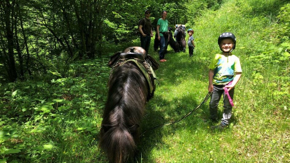 Ponys mit Kind | © Ponytrekking