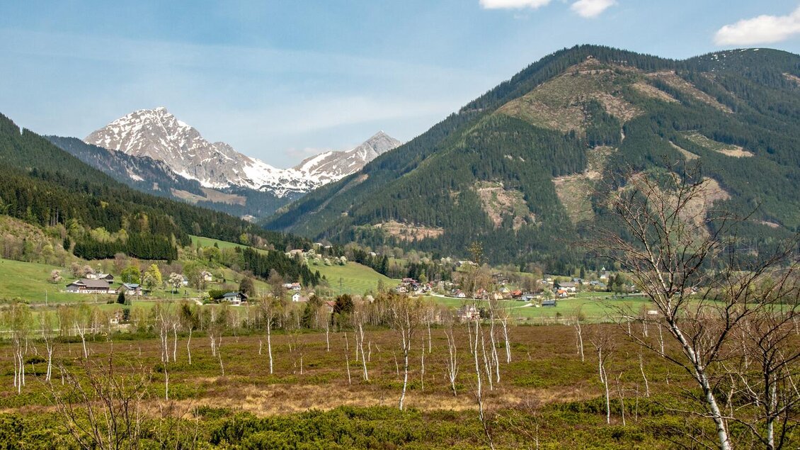 Blick Richtung Ardning | © Christian Scheucher