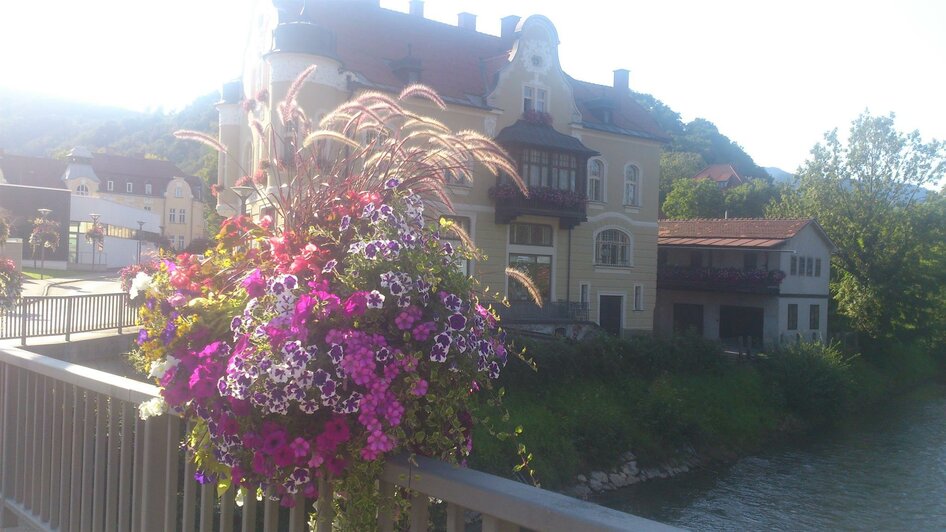 Mürzbrücke zum Schmidhaus