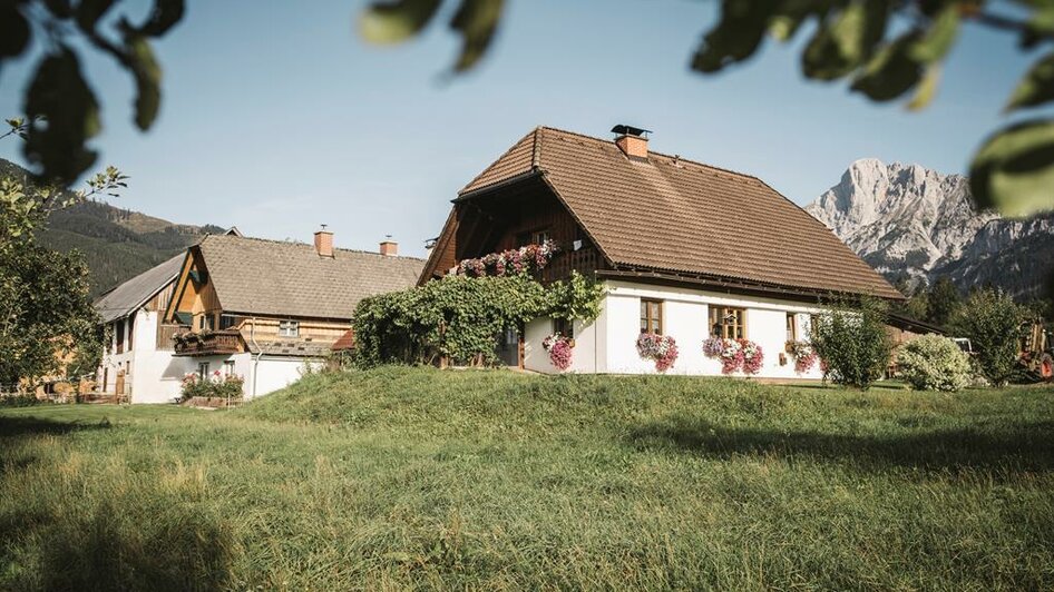 Schermerhof in Hall bei Admont | © Stefan Leitner