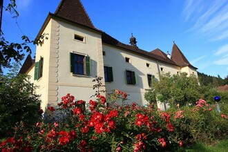 Schloß Friedhofen | © TV Erzberg Leoben