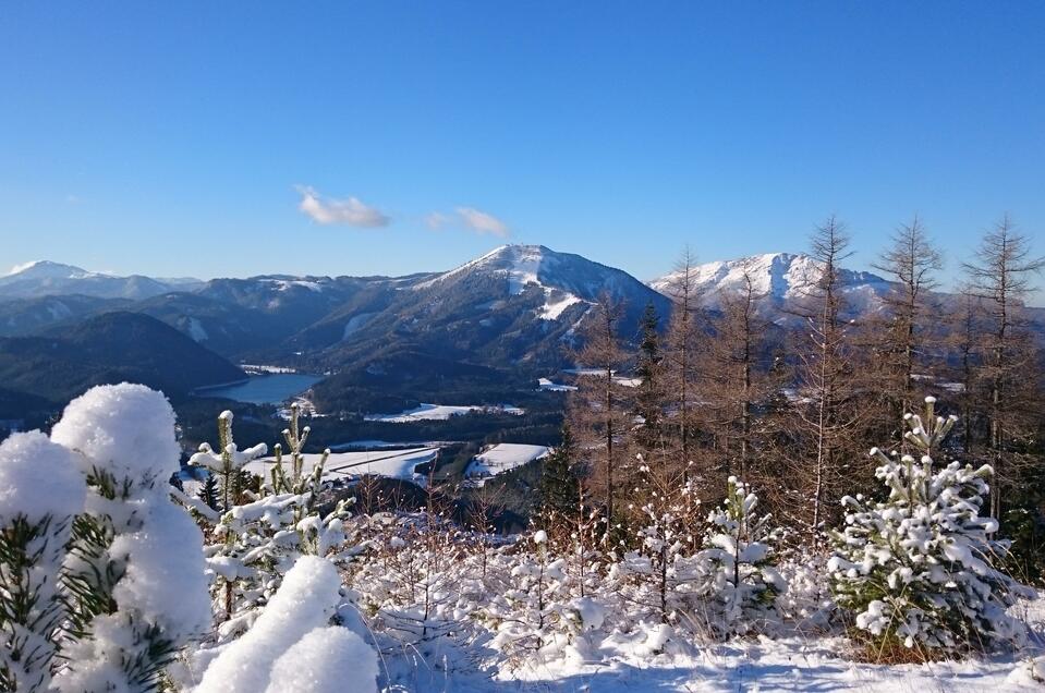 Schneeschuhwanderung auf die Mariazeller Bürgeralpe mit kulinarischem Genuss - Impression #1 | © TV Hochsteiermark | Brigitte Digruber