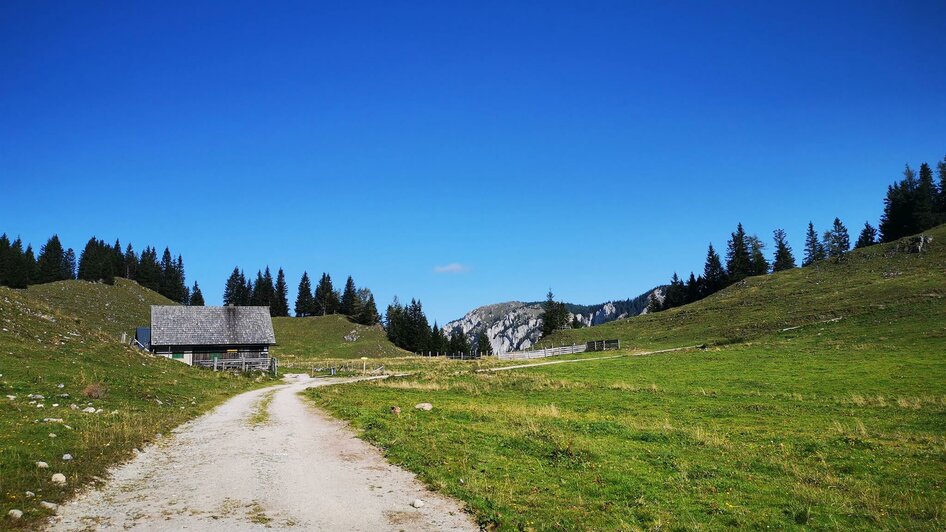 Die Weißalm | © TV Hochsteiermark / Brigitte Digruber