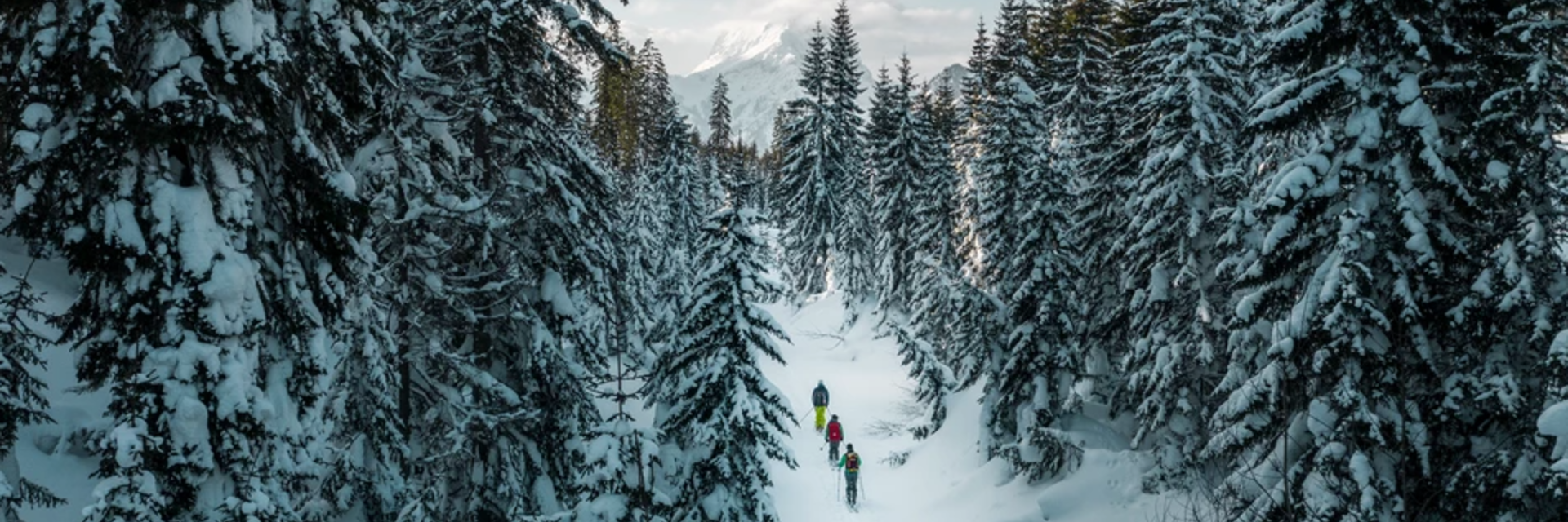 Ski tour through the Gesäuse and Styria beef from the organic farm - Impression #1 | © TV Gesäuse/Stefan Leitner