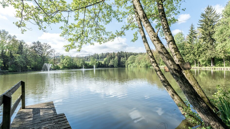 Grafenteich Voitsberg | © Lipizzanerheimat-Die Abbilderei