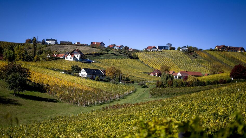 Blick auf Klöcher Weinberge