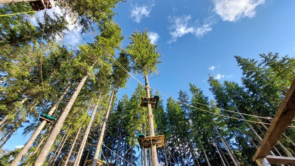 Hoch hinaus im Waldseilgarten Erlaufsee | © TV Hochsteiermark | Brigitte Digruber