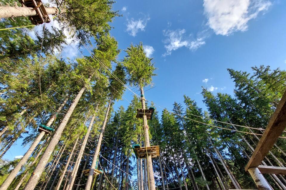 Waldseilgarten Erlaufsee - Impression #1 | © TV Hochsteiermark | Brigitte Digruber