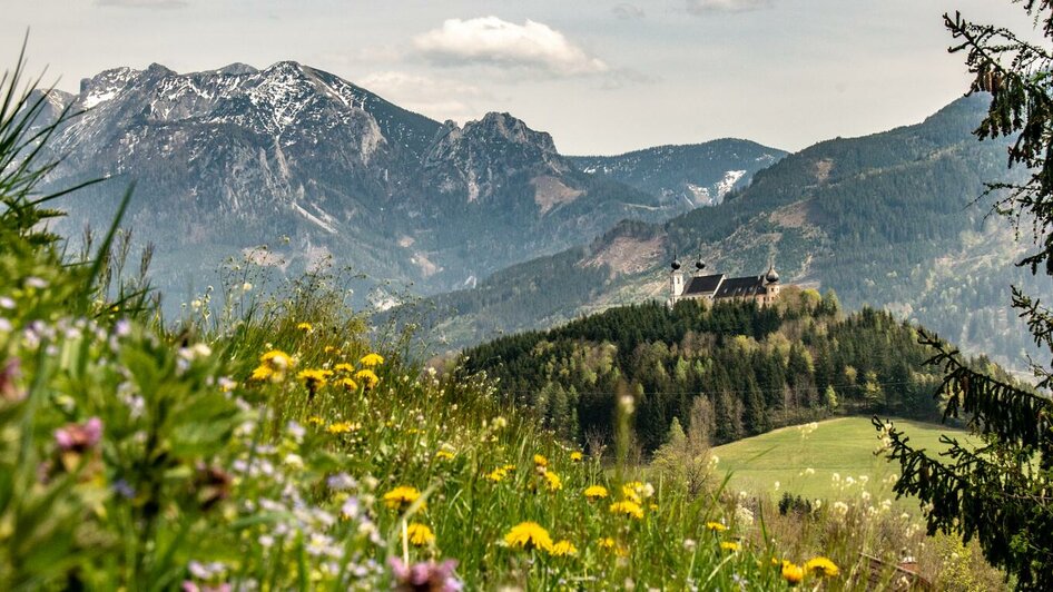 Die Wallfahrtskirche am Frauenberg | © Christian Scheucher