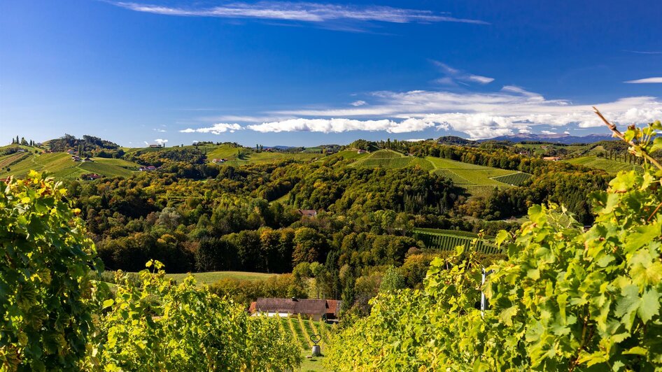 Herbst Gamlitz | © Harry Schiffer