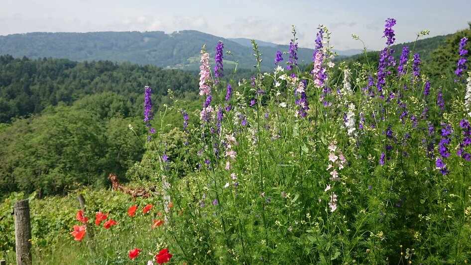 Blick zur Koralpe | © Fam. Deutschmann