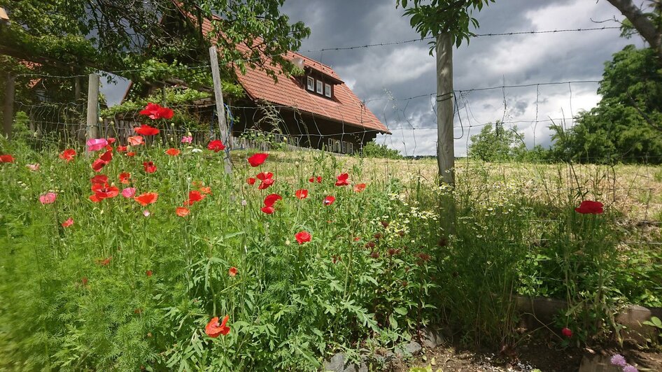 Garten | © Fam. Deutschmann