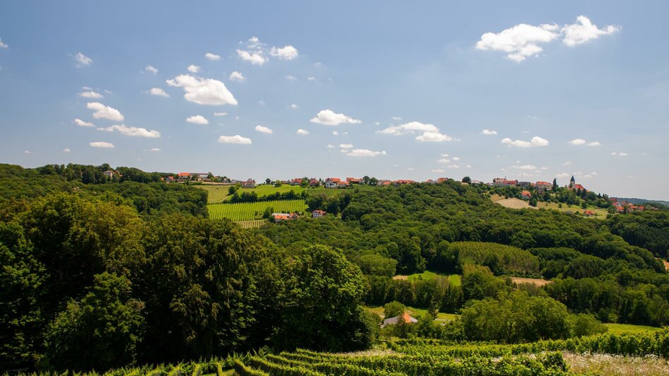 Weingut Pfeifer | © Uli Korntheuer