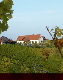 Weingut Stromeier Trobi | © Weingut Strohmeier Trobi | © Weingut Strohmeier Trobi