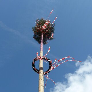 Maibaum_Pöllau_Oststeiermark | © Ppixabay