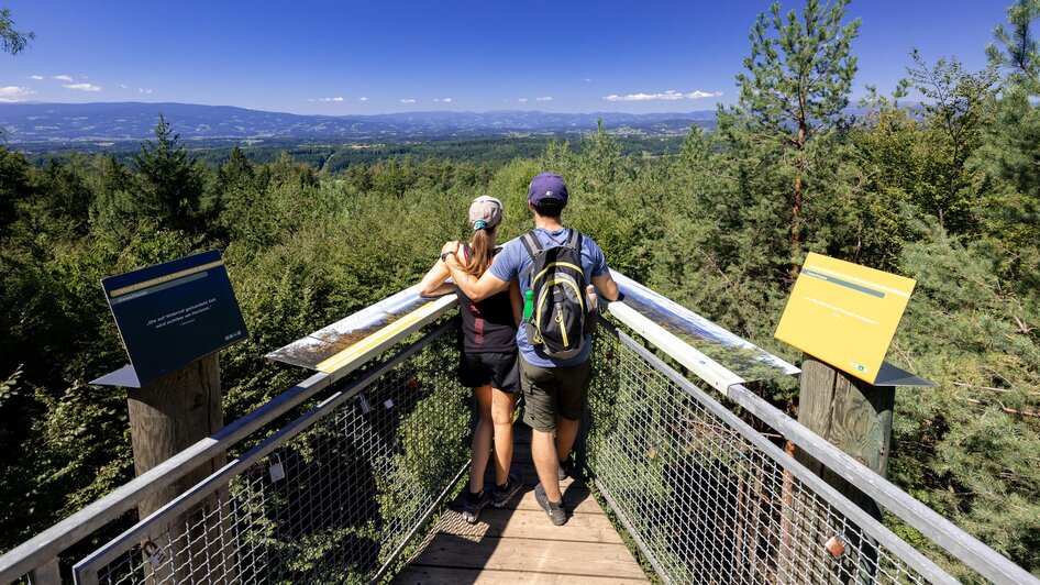 Geführte Wanderung: Aussichtstour von Seiersberg nach Eggenberg - Impressionen #2.2