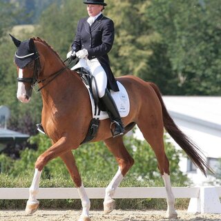 Reiterin mit Pferd_Reitturnier_Ring_Oststeiermark | © Tourismusverband Oststeiermark