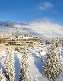 Almwellness Hotel Pierer_Winter Panorama | © Almwellnesshotel Pierer | Harald Eisenberger | © Almwellnesshotel Pierer