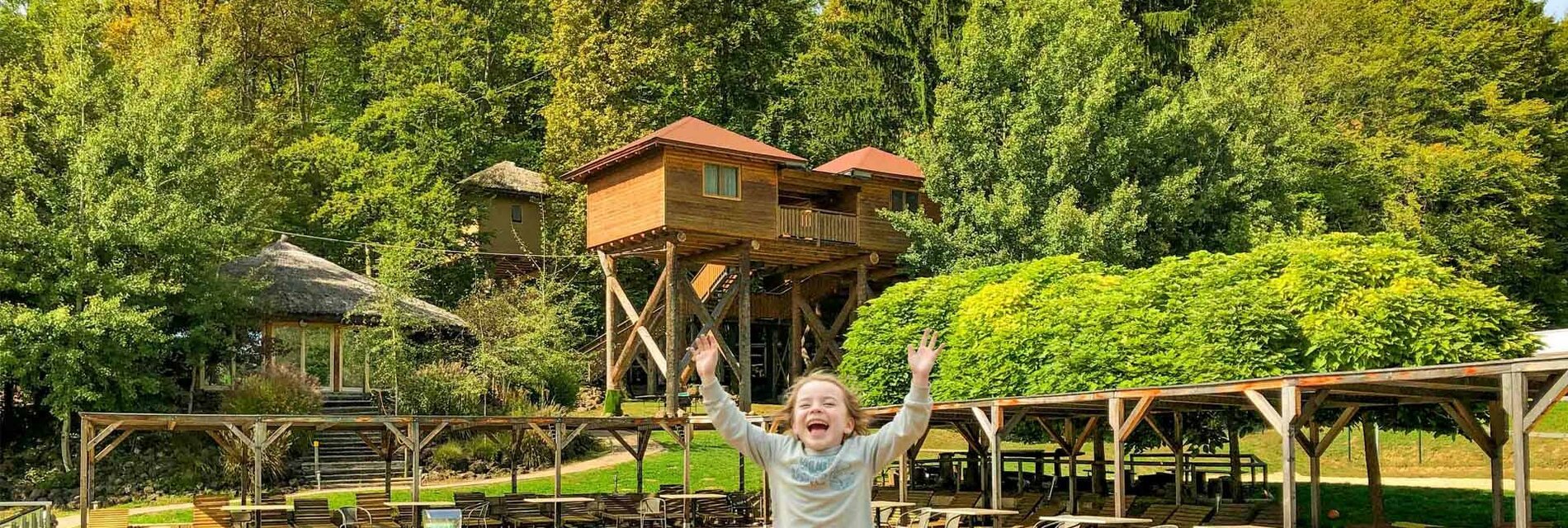 Baumhaus Hotel Anlage mit Salzwasserpool in Bad Gleichenberg im Styrassic Park