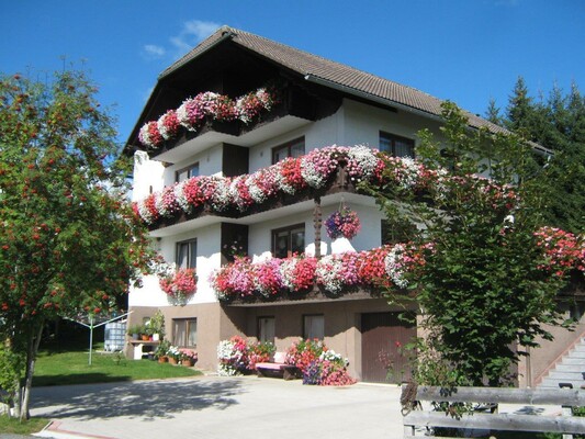 Blumenschmuck 2016 (3)