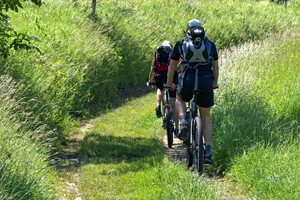 cyclist-1445700_1920 | © Pixabay