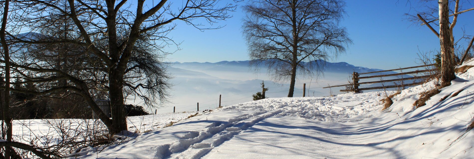 Schneeschuhwandern