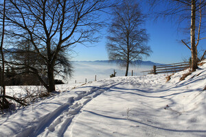 Schneeschuhwandern | © Feitek