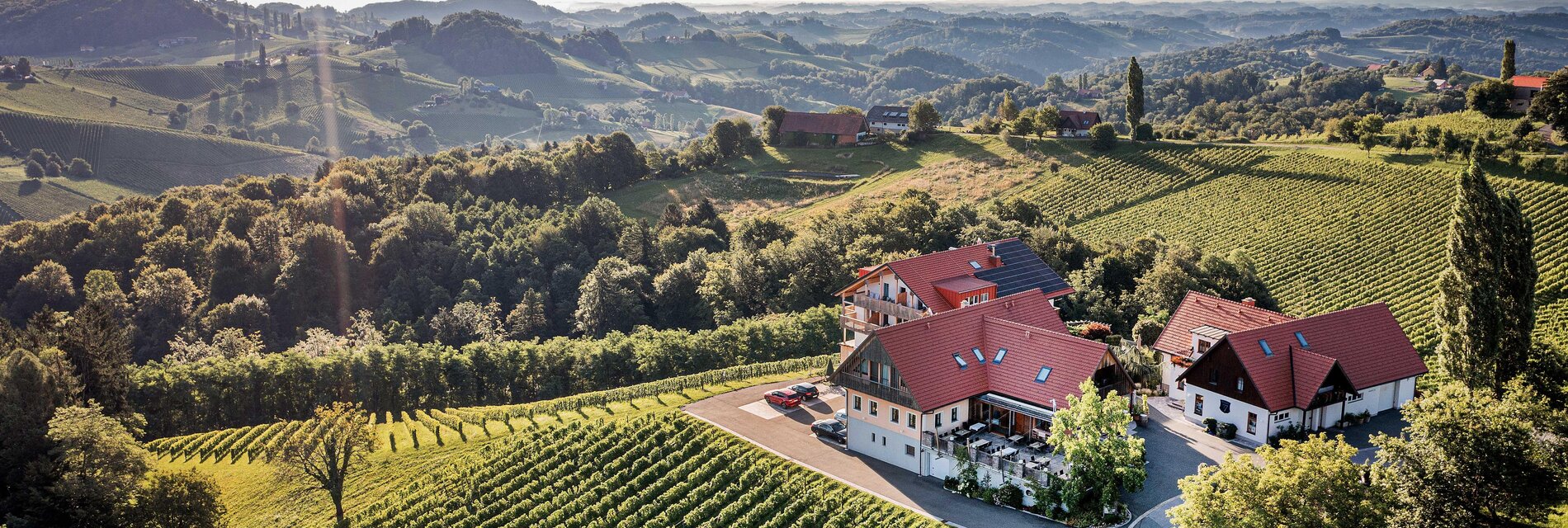 Weingut Dreisiebner Stammhaus - Impression #1